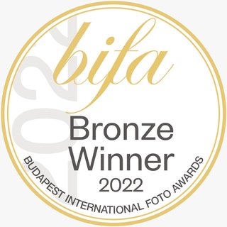 Budapest International Foto Awards - Bronze