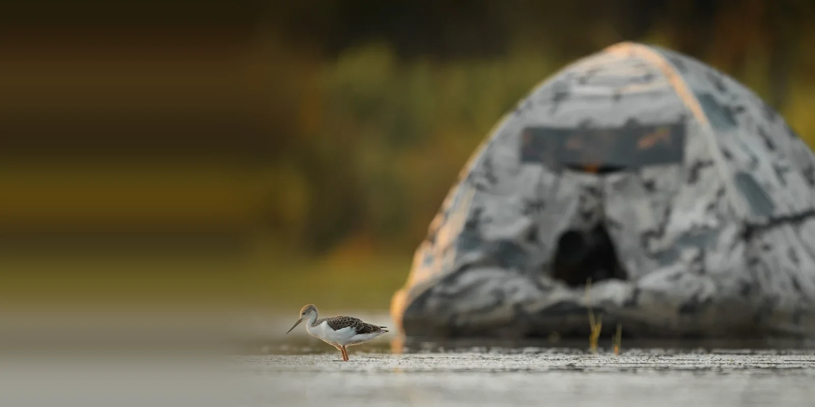 Photographing birds from a floating hide in the Camargue